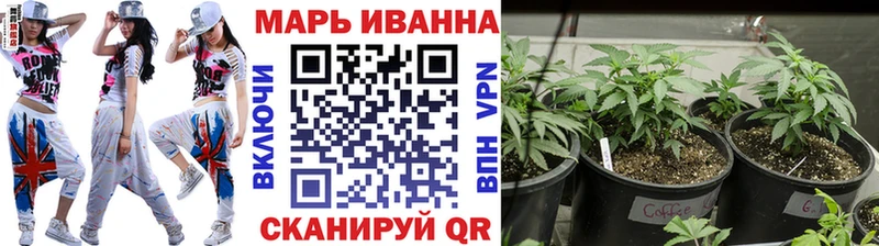 Наркота Власиха A-PVP АМФ МЕФ Псилоцибиновые грибы Канабис Гашиш