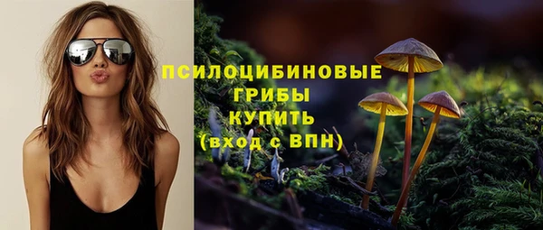 ECSTASY Нея